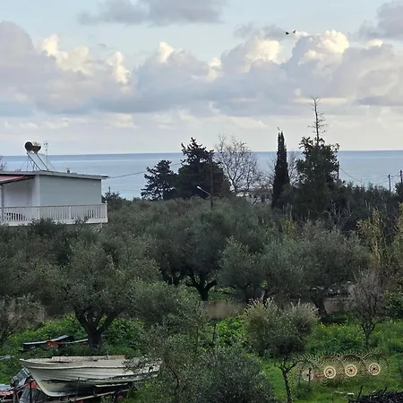 Dimitris Alykanas (Zakynthos)