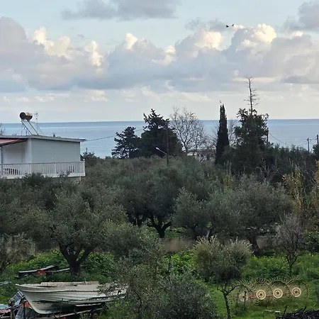 Dimitris *