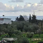 Dimitris Αλυκανάς